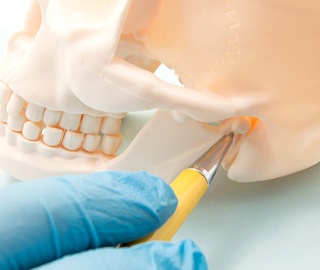 Pen pointing to T M J on model of jaw and skull bone